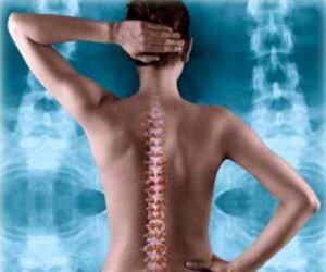 հետևի ողնաշարի նկարազարդում